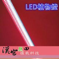 LED植栽燈/種植燈/生長燈/水耕-T8 4呎 紅白一體成形 